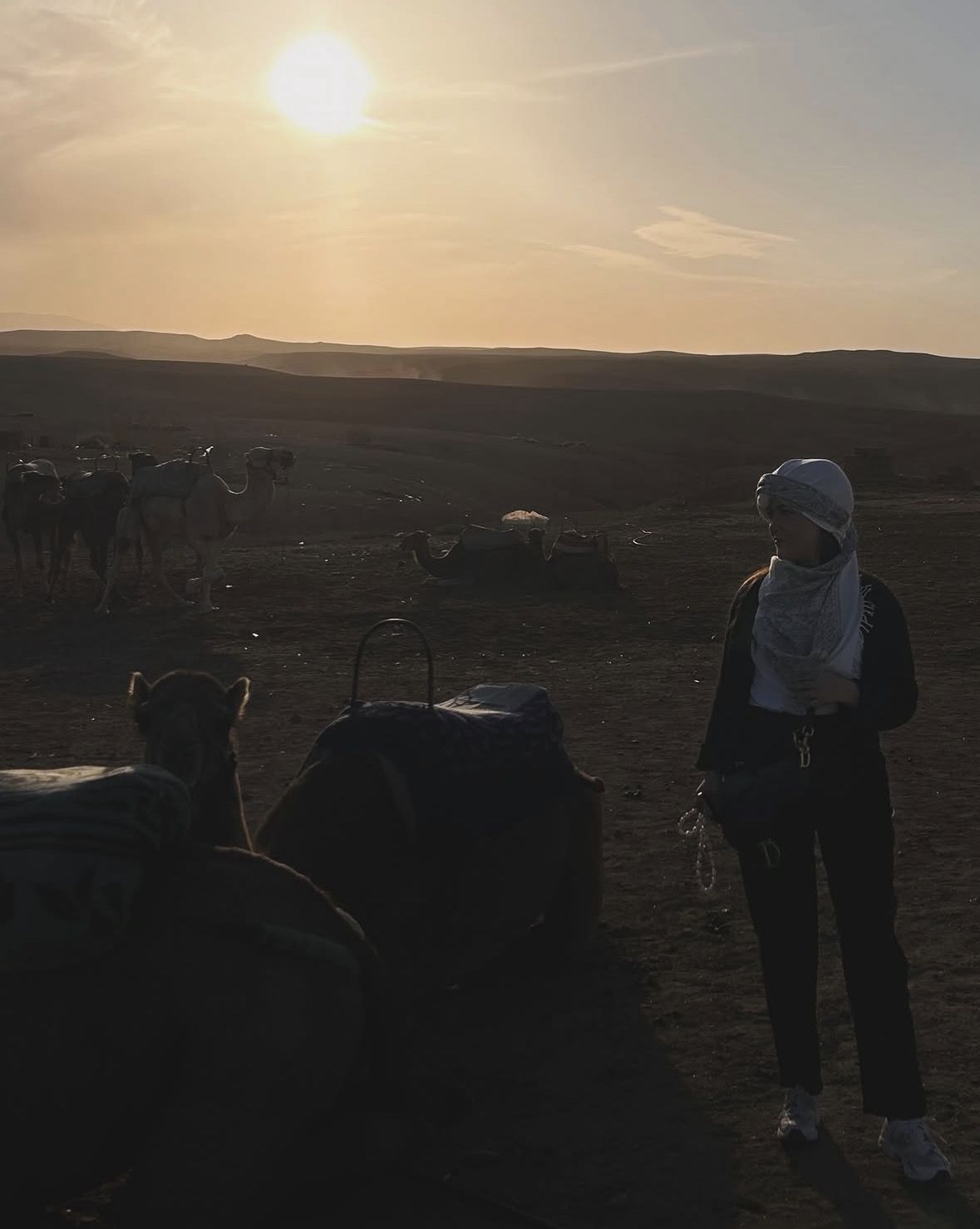 From Marrakech: Desert Agafay And Atlas Mountains Day Trip