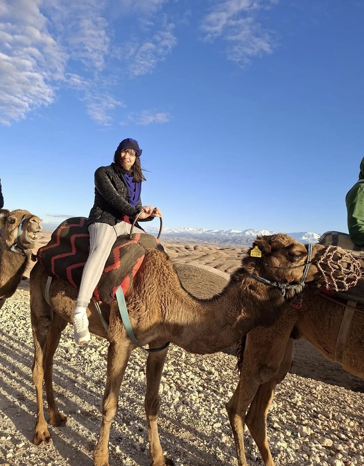 Agafay Desert Sunset and Camel Ride with Dinner from Marrakech